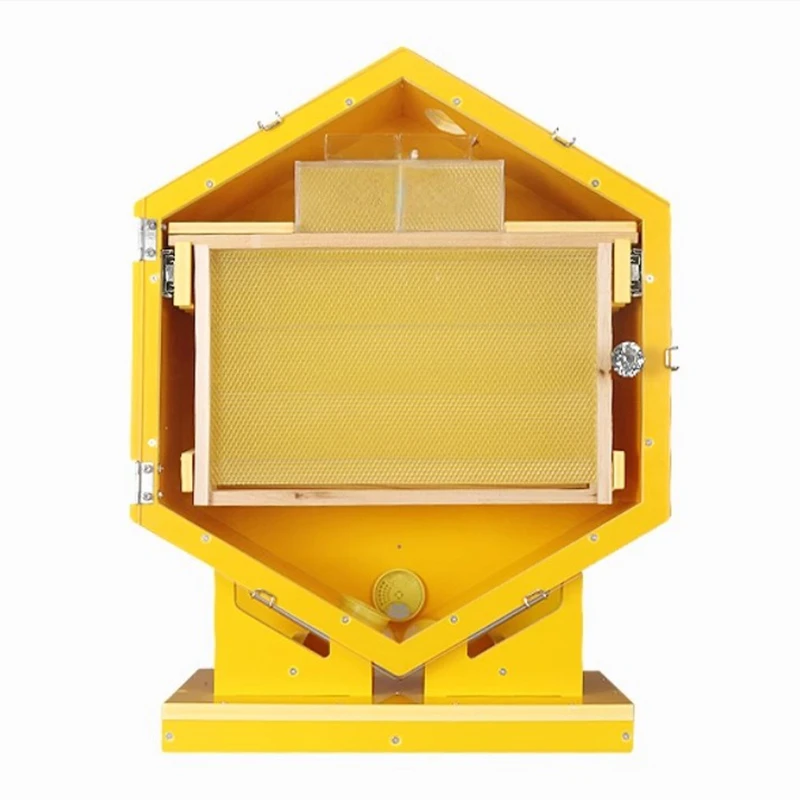 Hexagonal Indoor Observation Beehive Wall Mounted Beehive Indoor Beekeeping