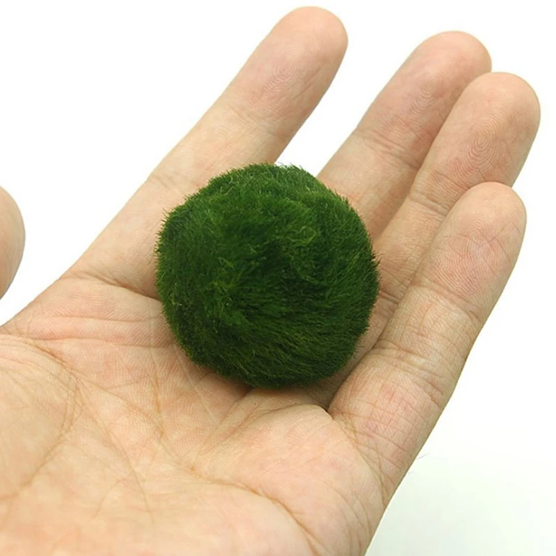 Bolas de musgo Marimo de 3-4 cm, planta de acuario vivo, algas, peces, camarones, adorno de tanque, simulación de bolas de algas verdes, planta Artificial