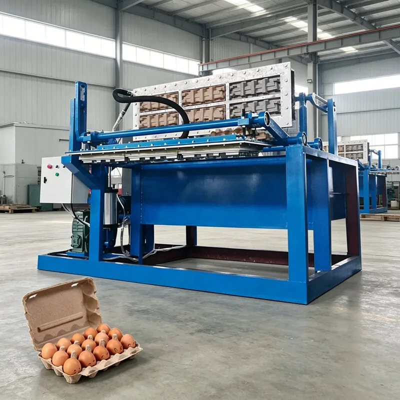 Customized Egg Tray Making Machine – Fully Automatic Pulp Molding, Interchangeable Molds for Unique Sizes & Cell Configurations