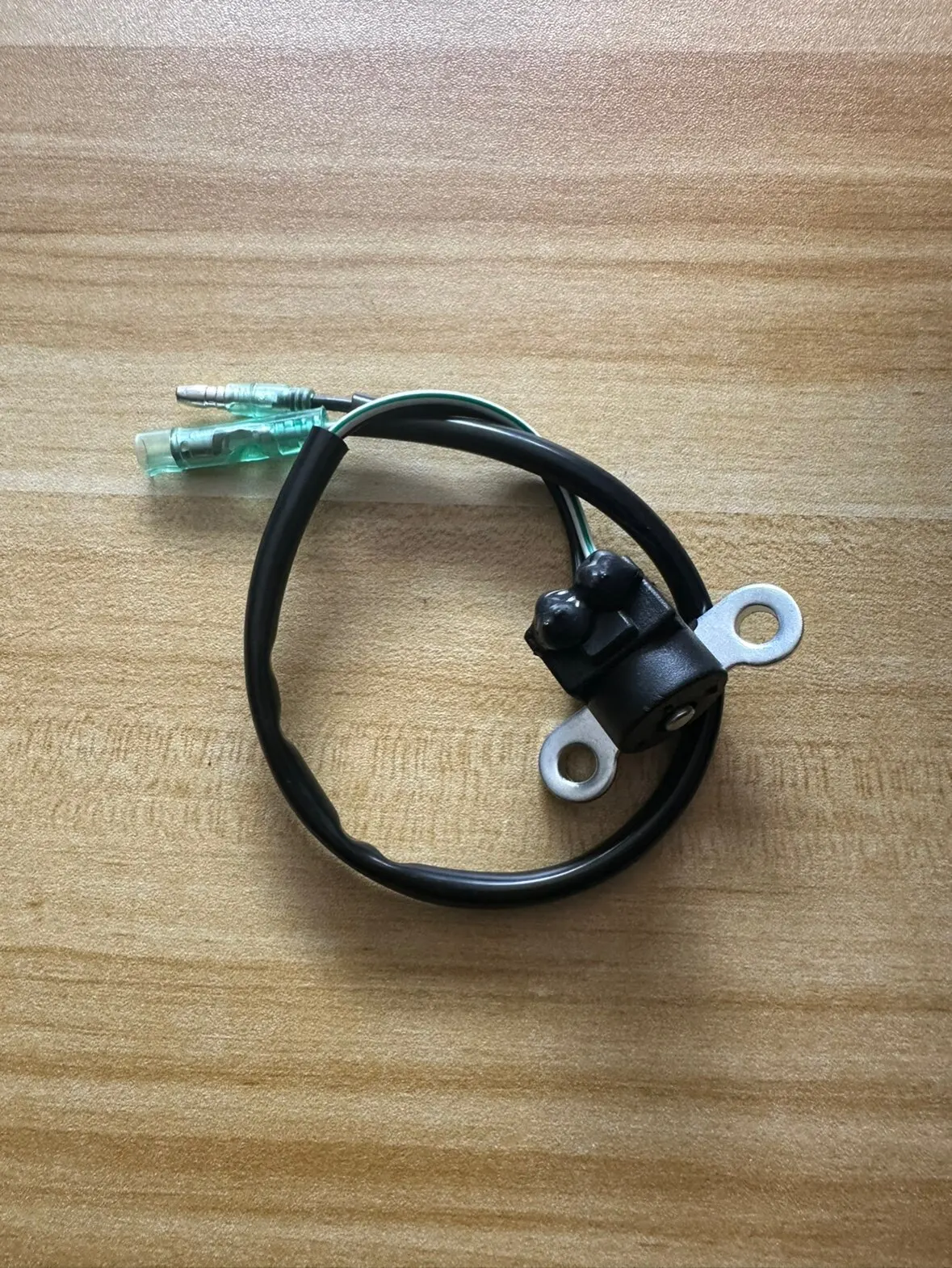 

Катушка зажигания (триггер) для лодочных моторов Parsun 20 л.с. (2-тактные) – Аксессуары