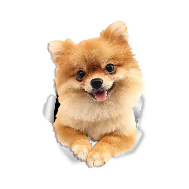 M463 Wurst Hund Rottweiler Hund Yorkshire Terrier Hund PVC Haushalt Dekoration Wand Aufkleber Toilette Aufkleber – Detail 10