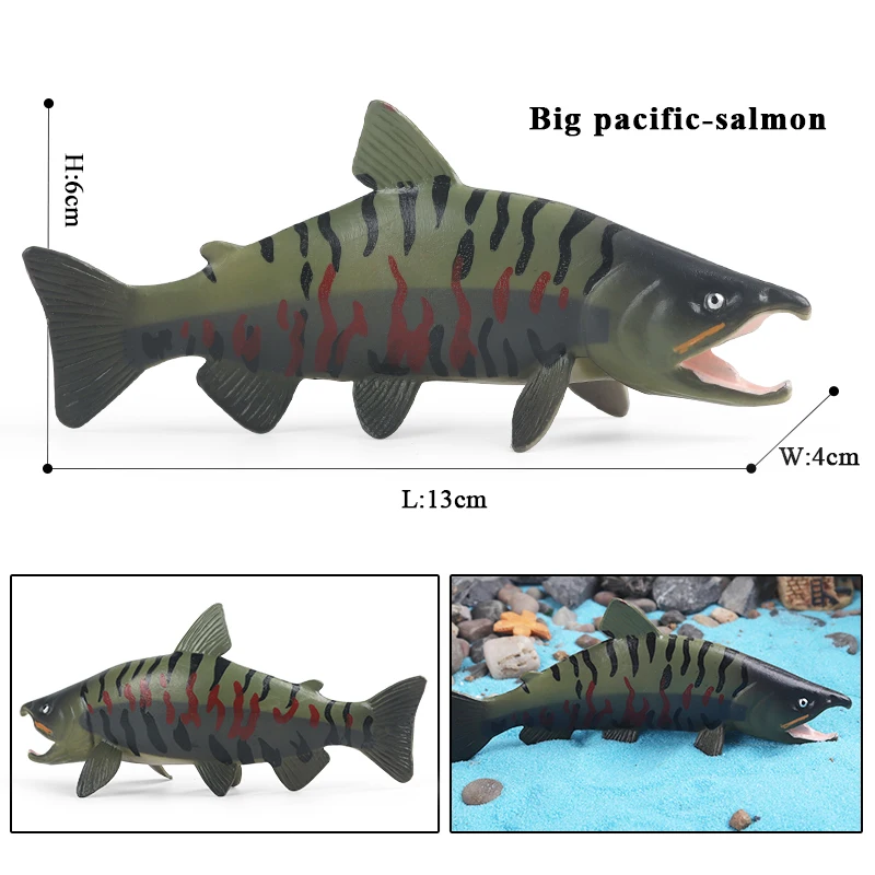 Oenux Sea Life Modell Clownfisch Lachs Bass Marine Ozean Tier Actionfiguren PVC Hochwertige Bildung Miniatur Strand Kinderspielzeug – Detail 7
