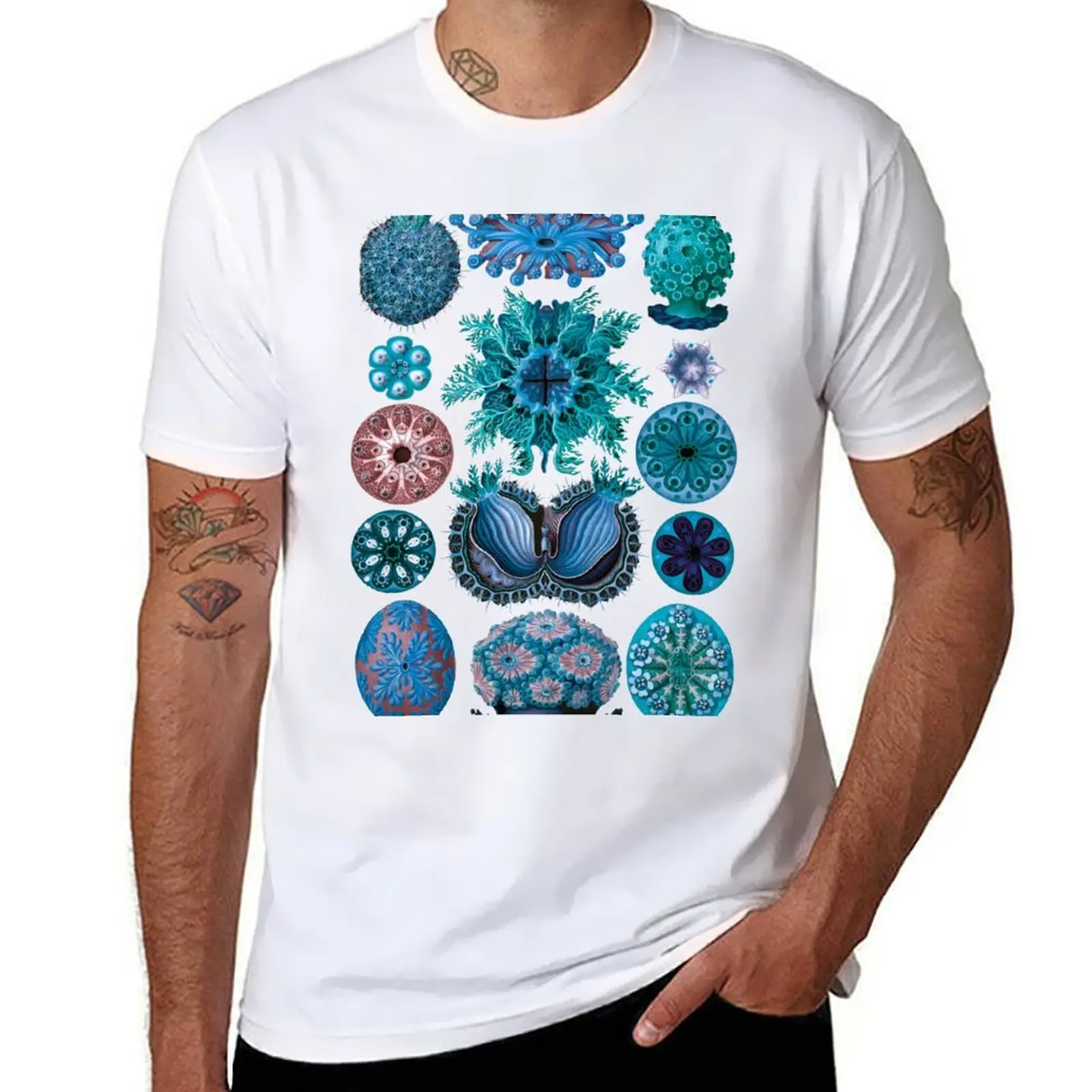 

Ernst Haeckel Ascidiae Sea Squirts Teal Colorway T-Shirt man tshirt t shirt man luxury T-Shirt