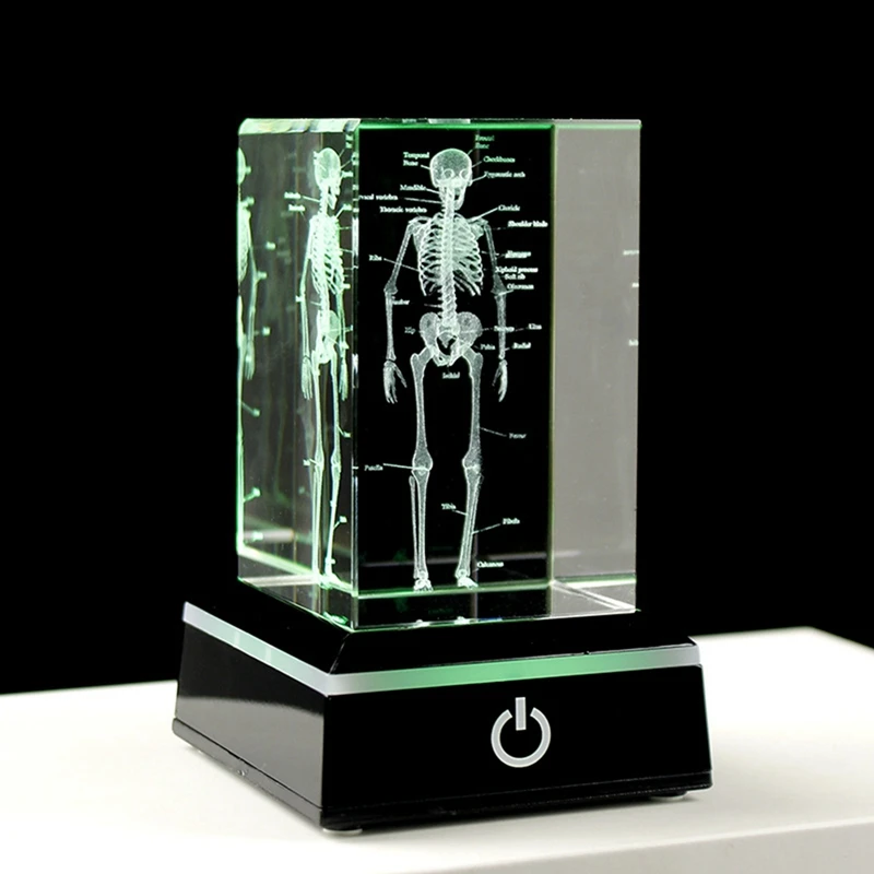 3D Laser Engraved Human Skeletal Crystal Cube Figurines,  Science Gifts, Organ Anatomical Model Paperweight