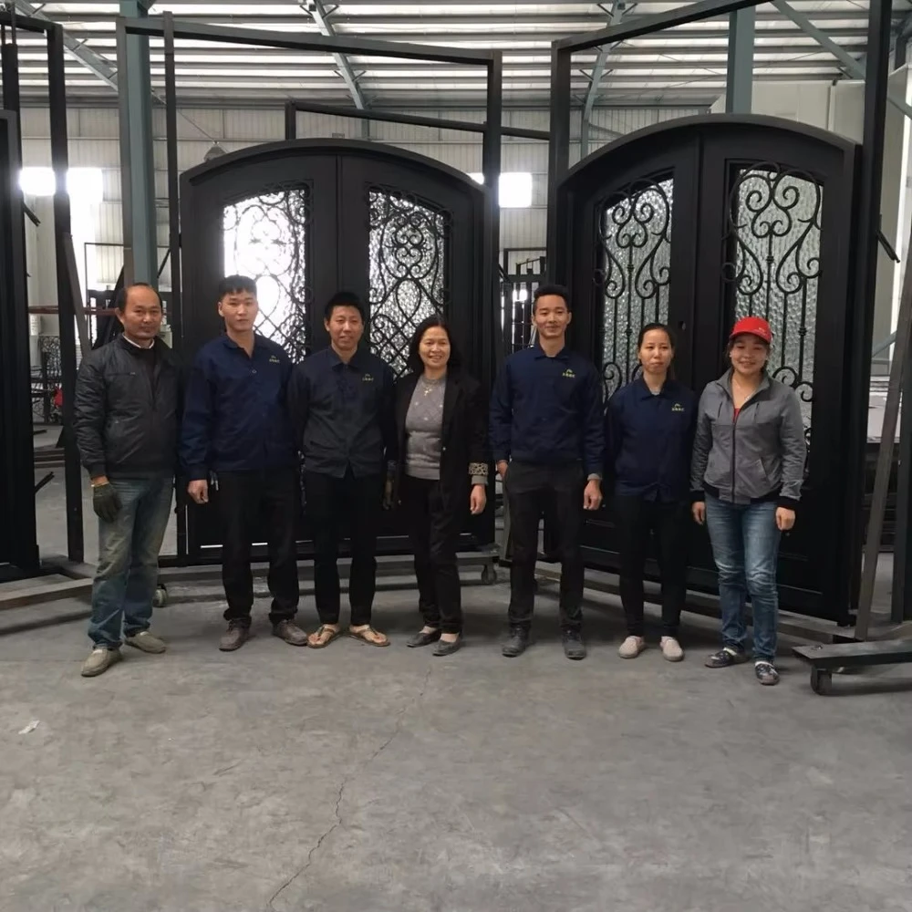 Professional Wrought Iron Door
