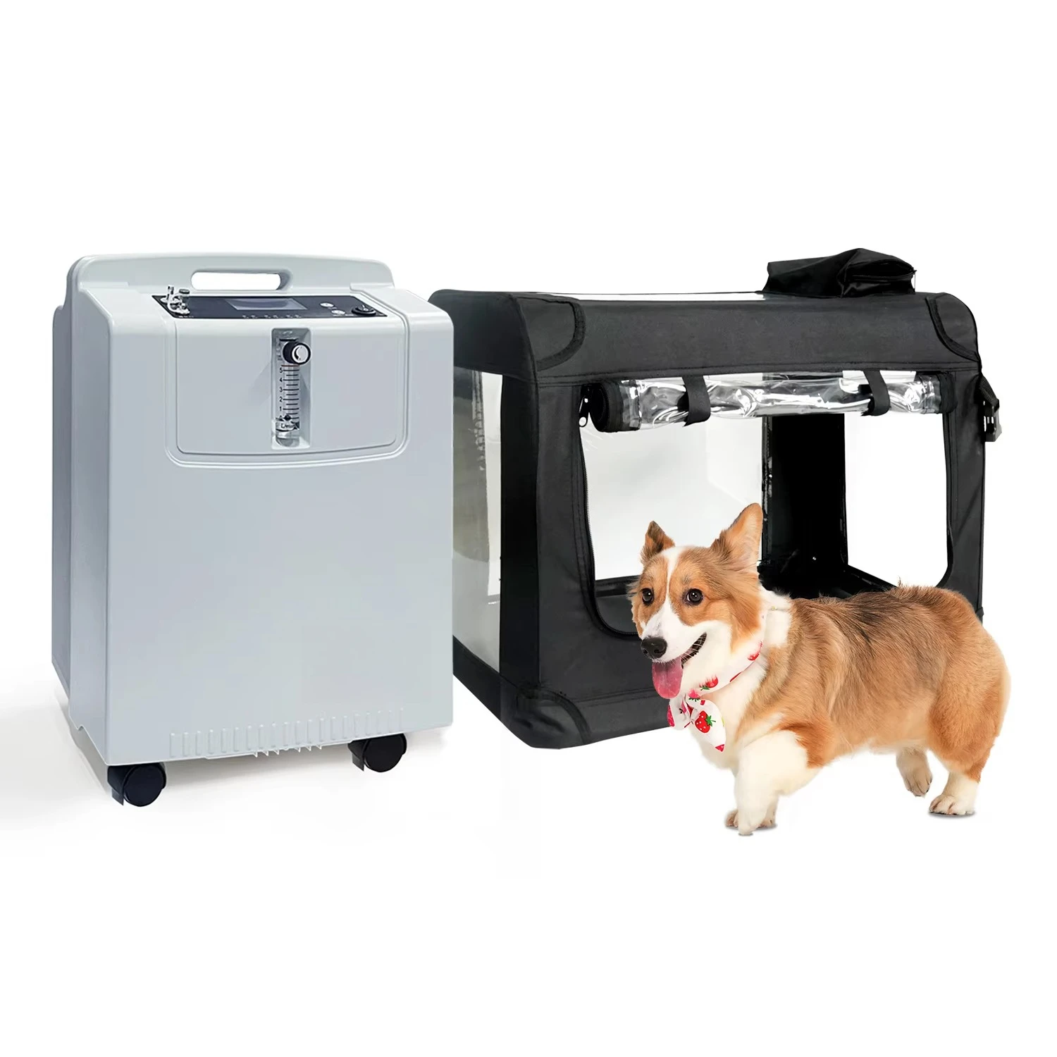 Factory Supply Professional 5L Oxygen Concentrator for Customized Oxygen Therapy for Small Animals for Pet Care Centers