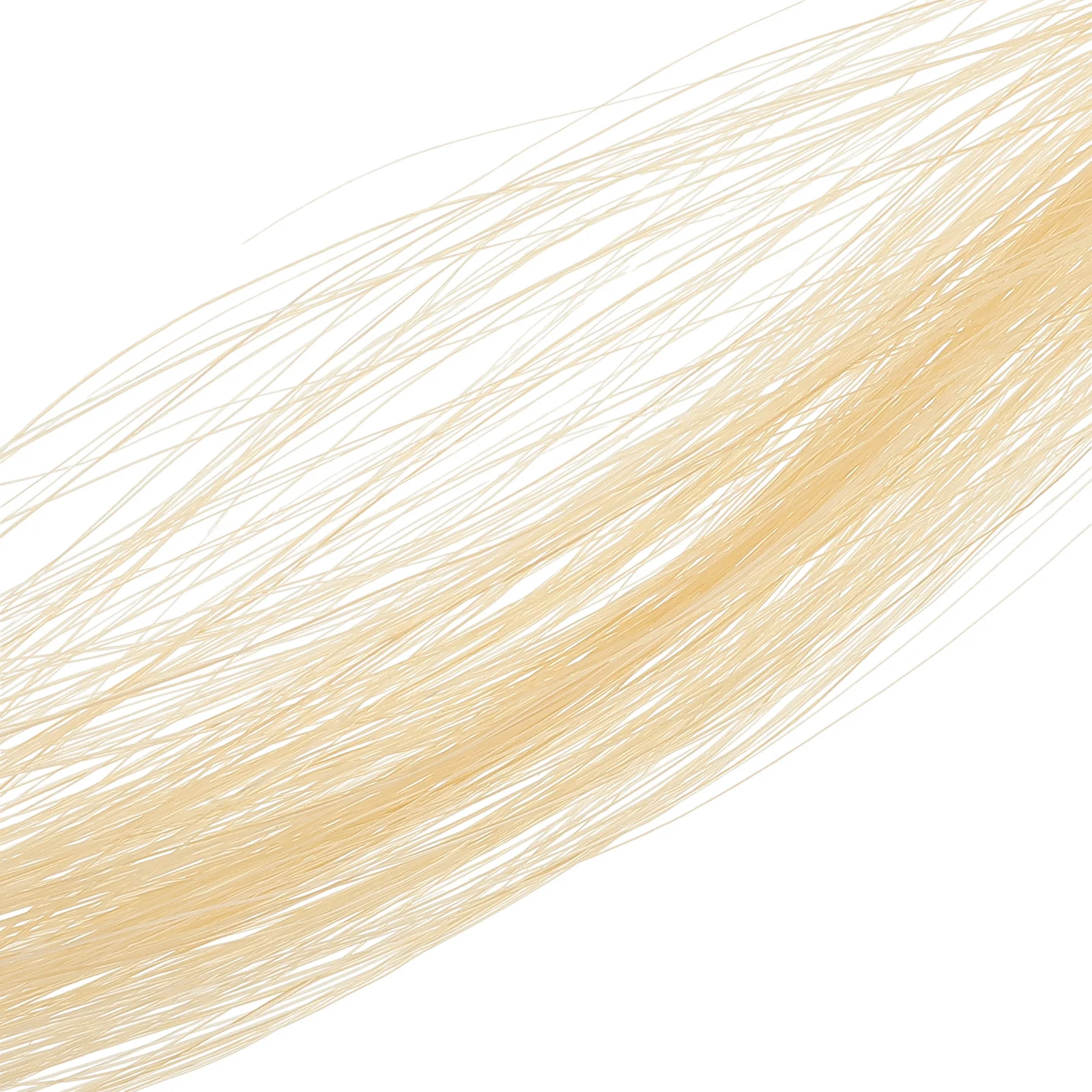 

Erhu Tail Hair Replacement Part Real Horsehair Backup for Erhu Instrument Superior Durability Horse Hair