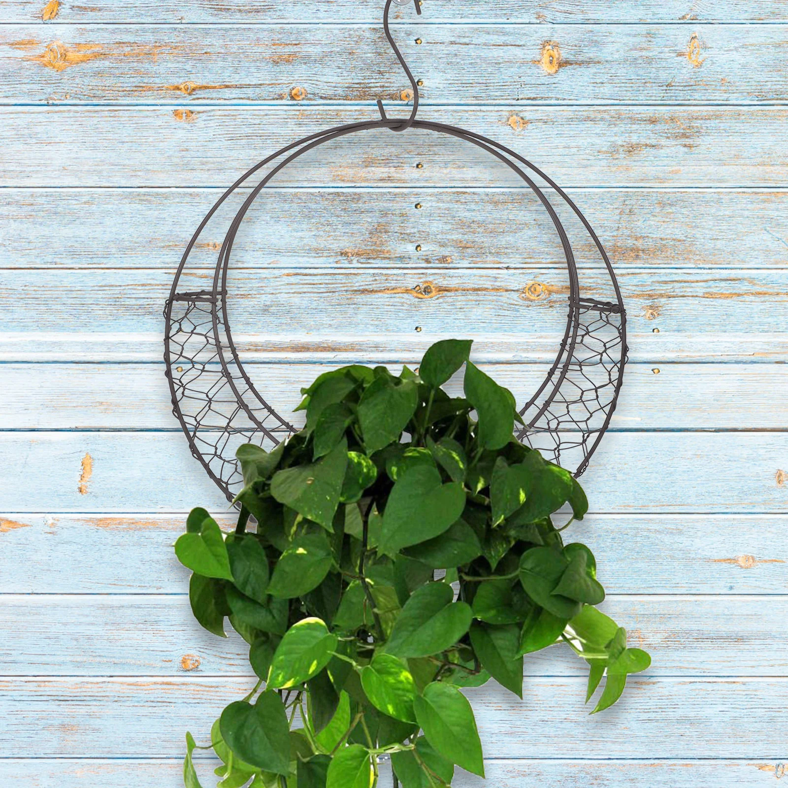 Metallic Line Plant Shelf Indoor Baskets Hanging Orchid Moon Shape Iron Wire Wreath