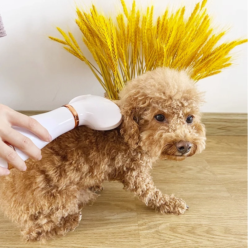 Sèche-cheveux pour chien de compagnie, artefact de peigne une pièce, soufflage et traction de cheveux, bichon en peluche/FN anian