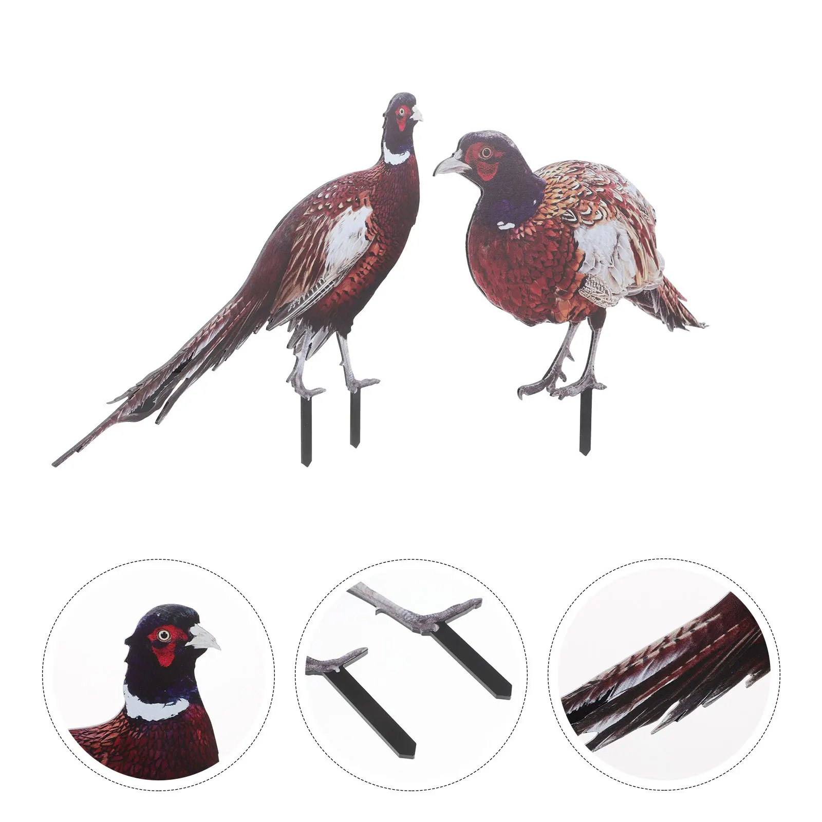 

2Pcs Pheasant Garden Stake Realistic Lifelike Outdoor Yard Ornament Lawn Decoration Garden Decor Courtyard Pheasant Figurine