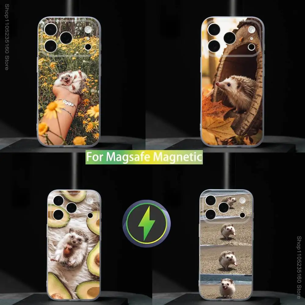 

Cute Animal hedgehog For iPhone 11,12,13,14,15,16,17,Pro,Max,Plus,Mini,SE4,E Phone Case With Magsafe Wireless