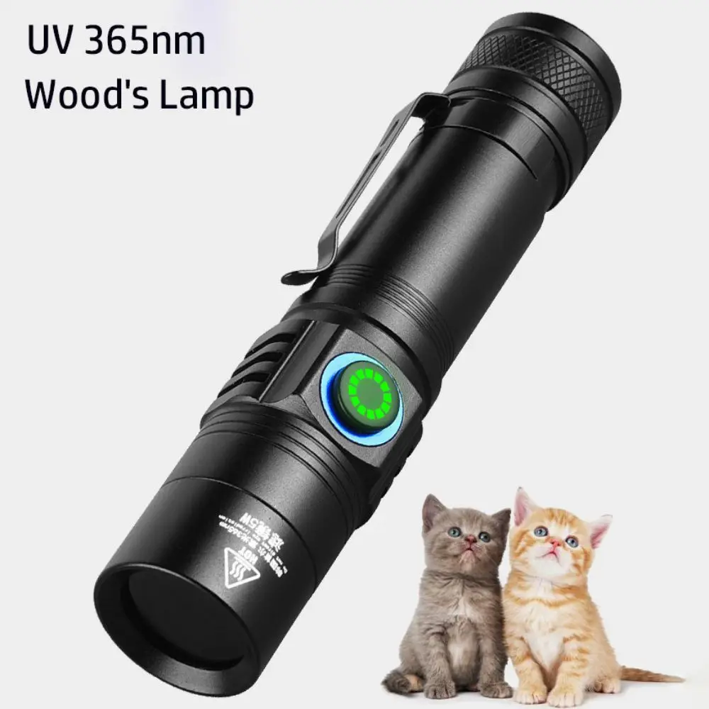 Hot Mini UV Flashlight USB Rechargeable 365nm Wood's lamp Portable Cat Ringworm Detector for Night Fishing