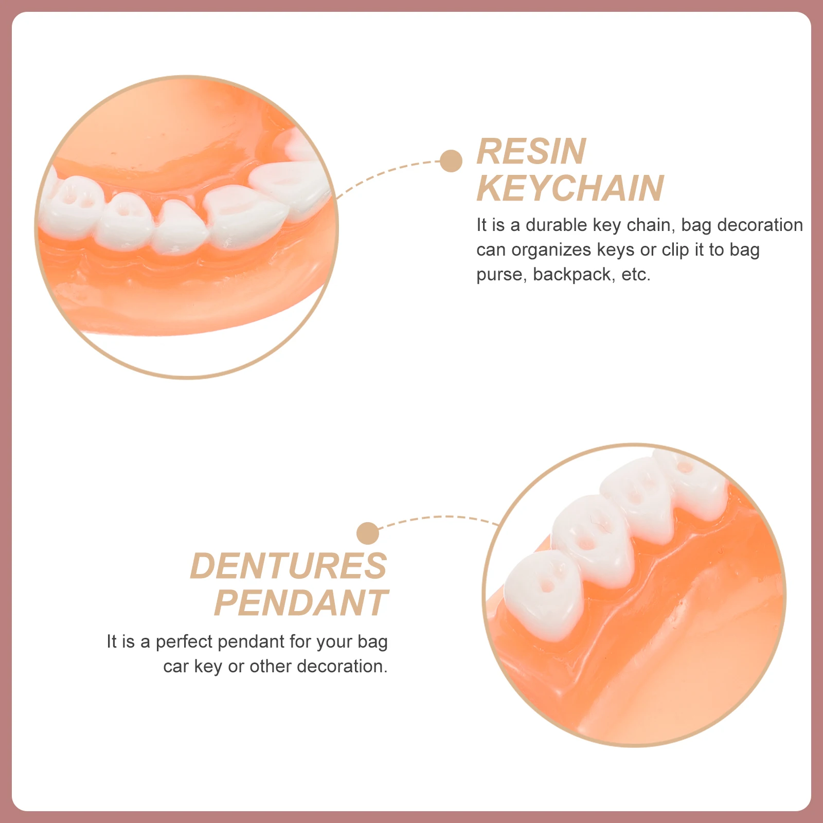 

10Pcs Tooth Key Fob Cute Dentist Present Keychain Decor Stylish Bag Accessories for All Occasions False Tooth Key Ring