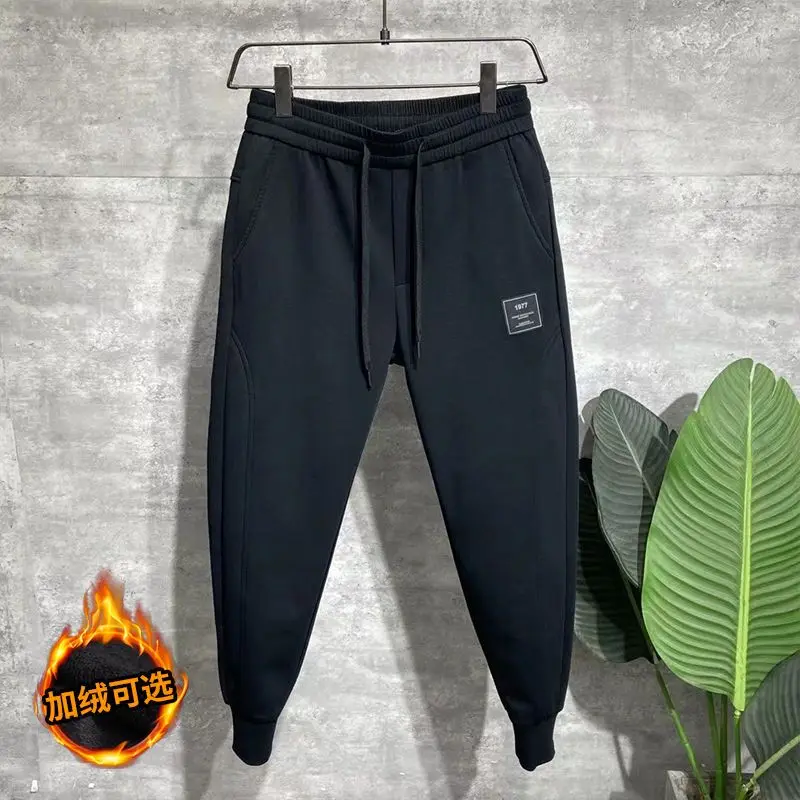 Men\'s Clothing 2024 New Men\'s Casual Pants Elastic Waist Winter Harem Pants Korean Jogger Trousers Thick Warm Brushed Pants