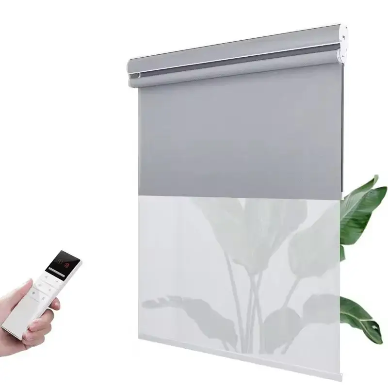 Tipiace-Smart Dual Roller Shades, Day Light-filtering and Night Blackout, Rechargeable Motor with Remote, Custom Size