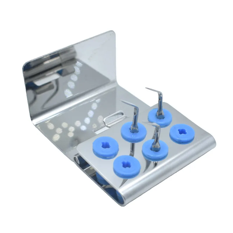 Dental Scaler Tip Holder Endo File Disinfection Storage Box Organizer Autoclave Sterilizer Case Dentistry Equipment