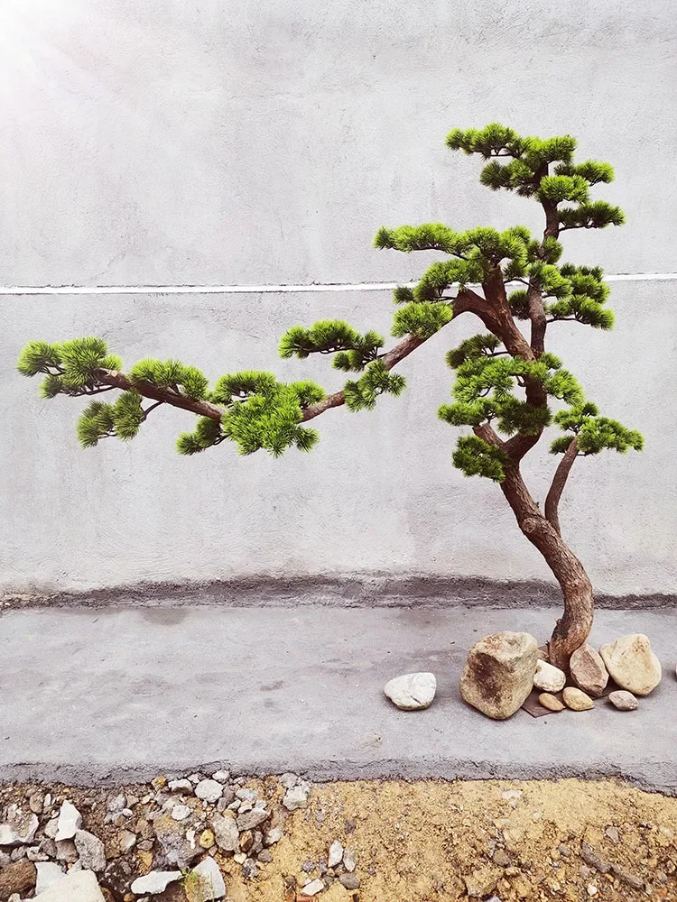 Welcome pine simulation fake tree large Luo Hansong beauty pine new Chinese courtyard landscape decoration