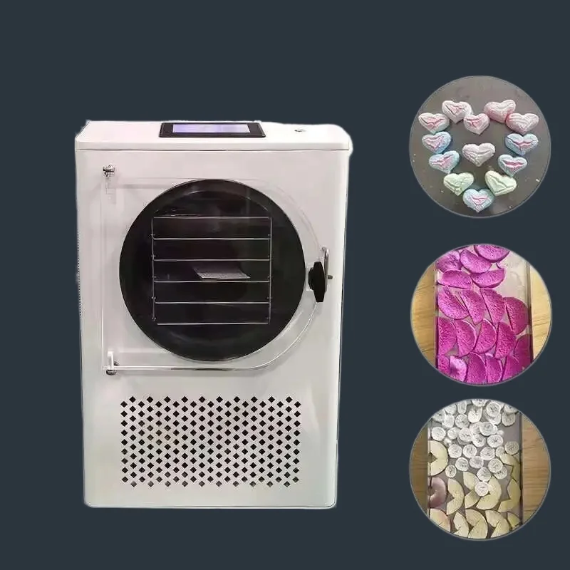 

Dryer And Machine Fully Food 12 For Fruit Freeze Vegetable Automatic Home Use Freeze Dryer For Sale