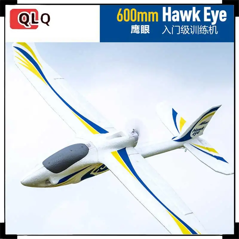Toy Model Airplane 600mm Eagle Eye Novice Back Push Entry-Level Fixed Wing Beginner Remote Control Electric Model