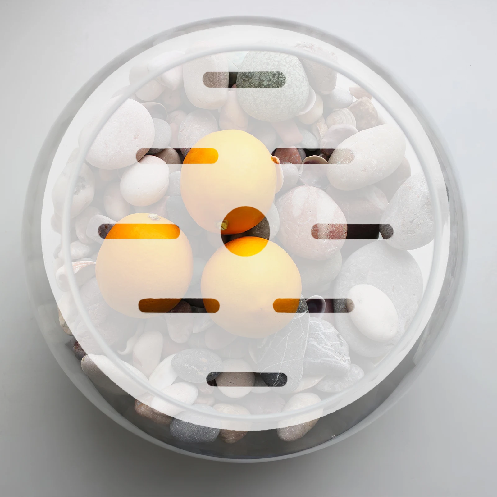 

Acrylic Fish Tank Lid 20cm Round Aquarium Cover Replacement Escape Proof Reusable Canopy Protective Cover Feeding Bowl Plate