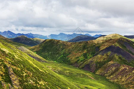 

For FS 1/8 Bigfoot Tank Cheetah Shark RC Car metal upgrade swing arm steering cup rear axle seat assembly parts