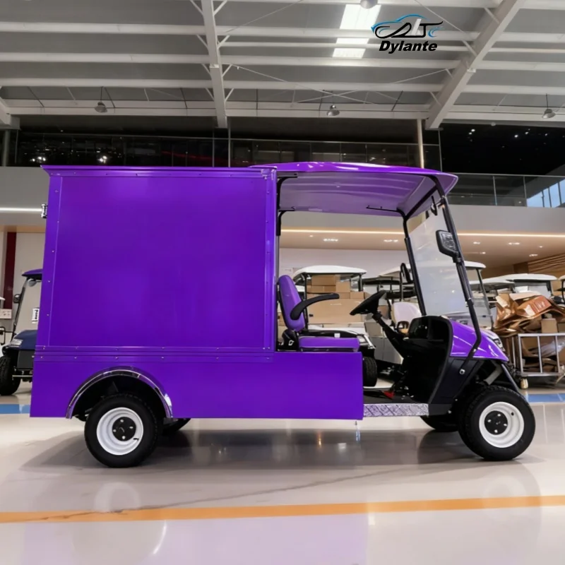 

Электрическая тележка для гольфа Club Car, электрическая экскурсионная тележка, сертифицированная CE, 72 В, 5 кВт, складная грузовая тележка с двигателем и задним грузовым ящиком