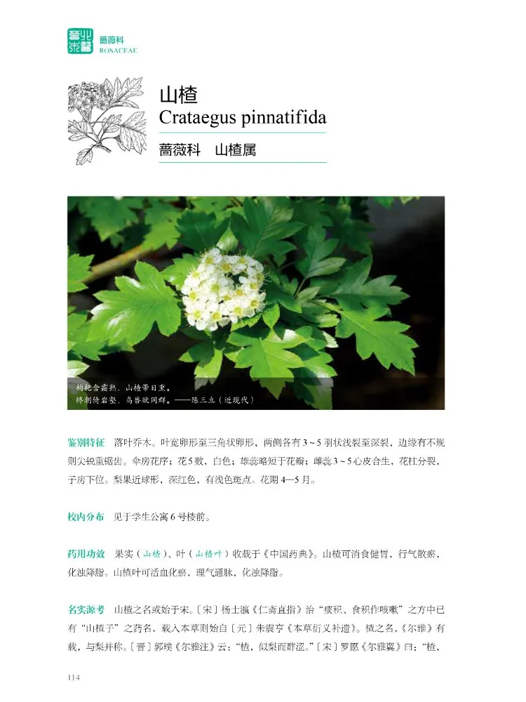 Book-Winshare Peking University Botanical Garden