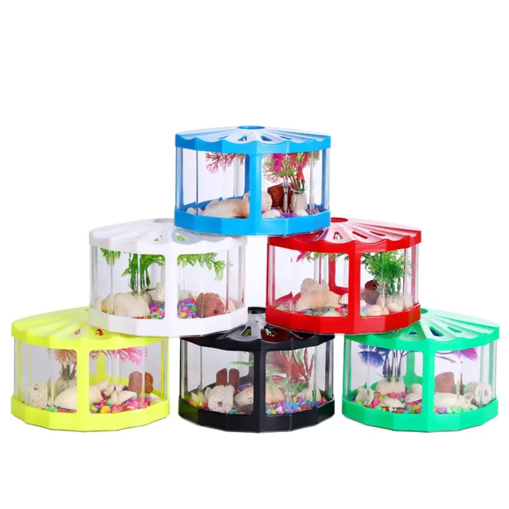 Plastic Betta Fish Tank Micro-Landscape Fan-shaped Breeding Box Fighting Fish Cylinder Tropical Fish Building Block Aquarium