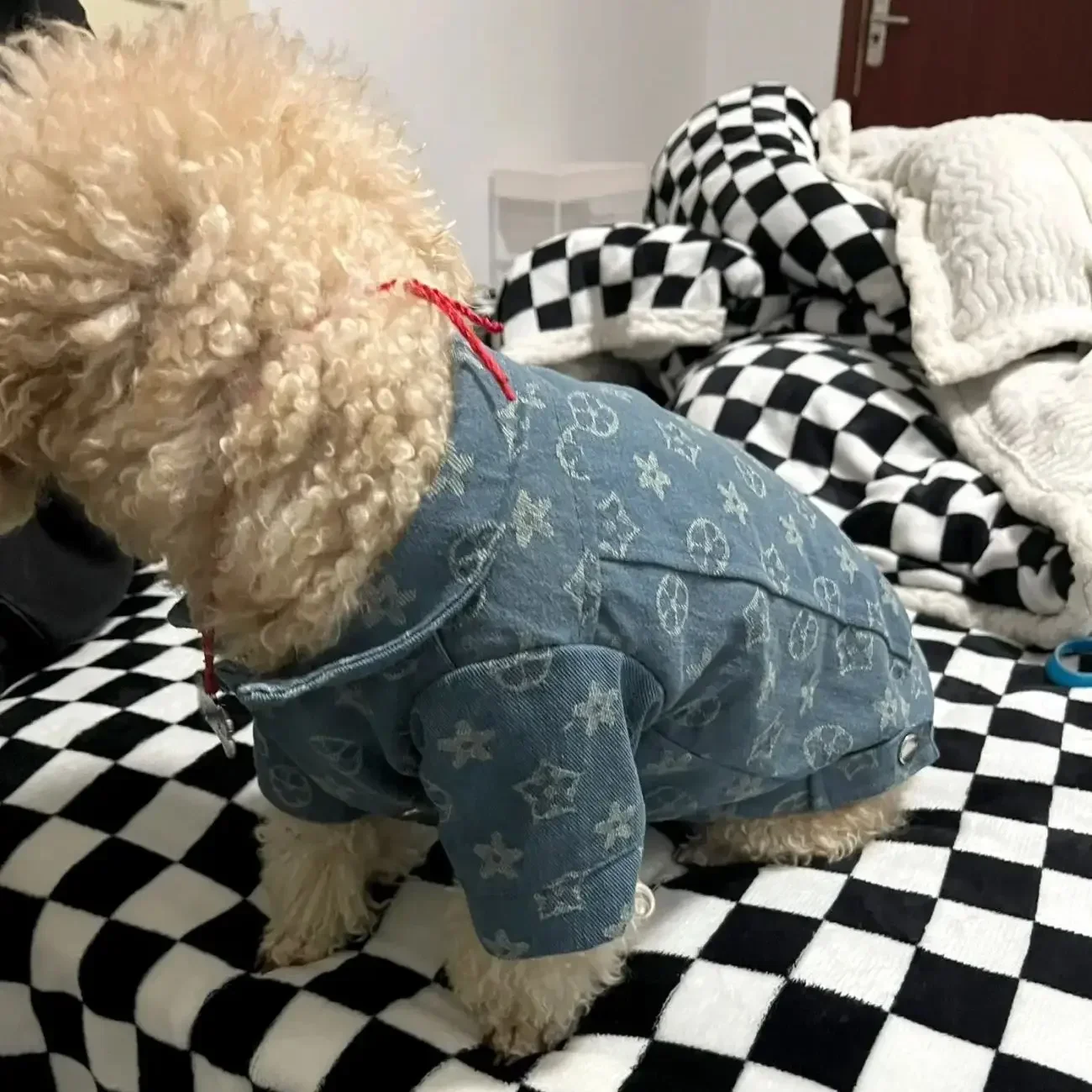 Cowboy Shirt Coat with Full Printed Pattern, Cotton Denim Lining, Pet, Fall, Winter, Schnauzer, Kitten, Dog, denim dog