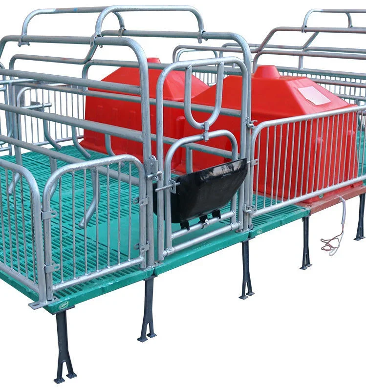 

Hot Dip Galvanized Steel Farrowing Crates Pigs Sow Birth Cage for Pig Farm Use Animal Husbandry Equipment