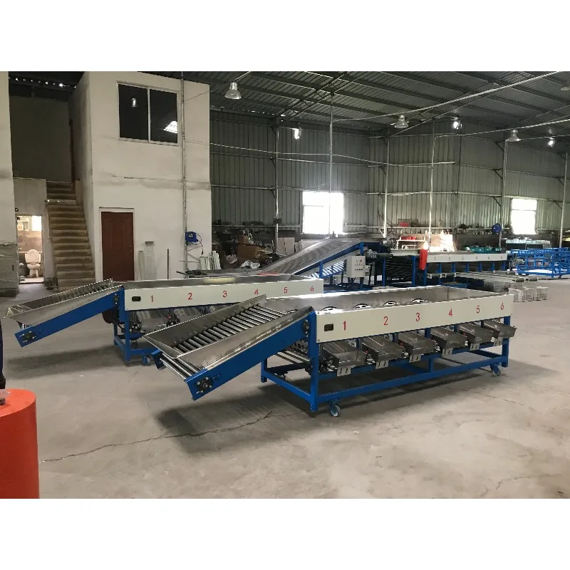 Industrial Rotary Drum Fruit Sorting Machine 6 Grade Size Grading Sorter With Roller Feeding Conveyor For Fruit Processing Line