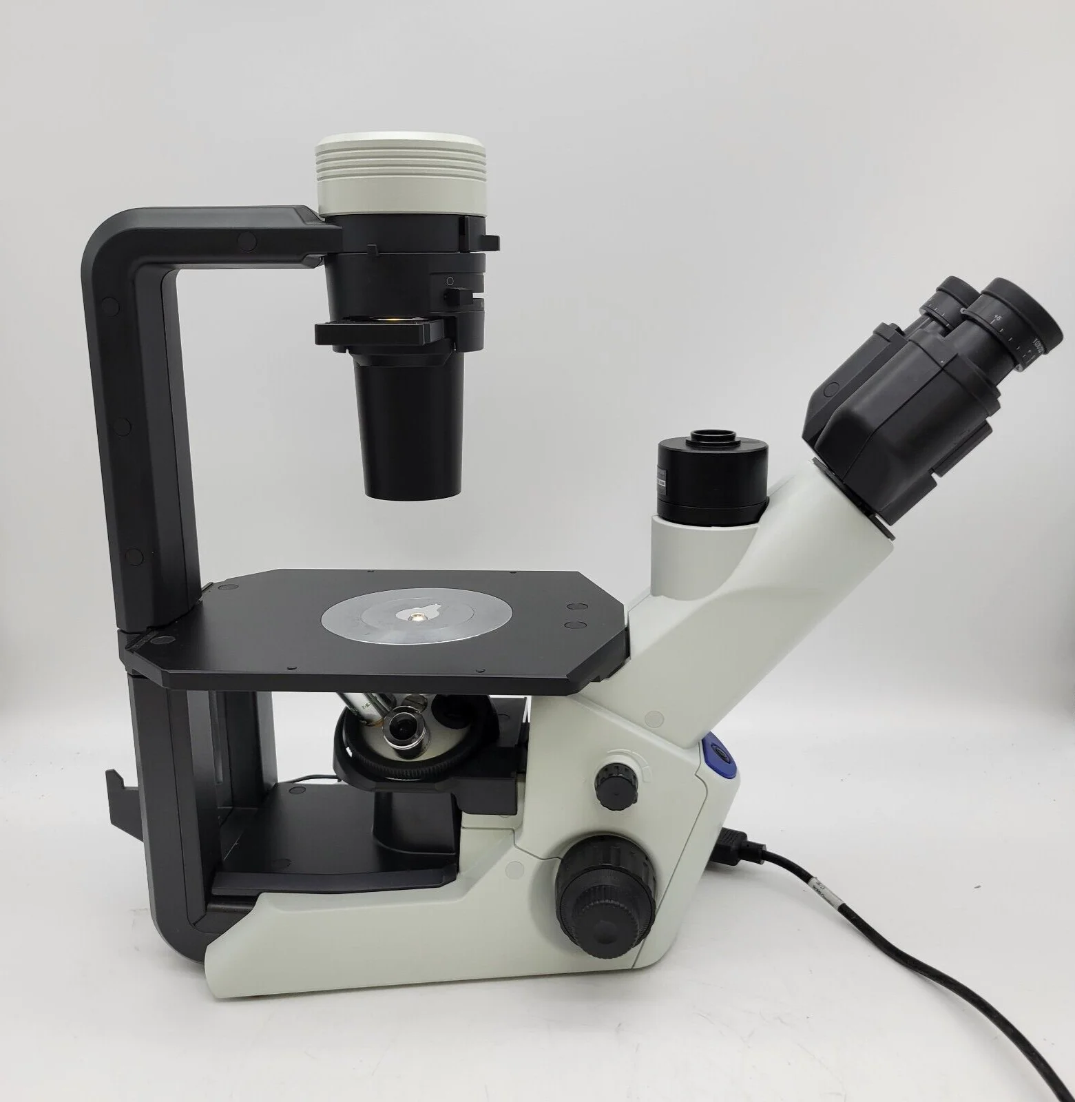 Olympus CKX53 Inverted LED Phase Contrast Microscope