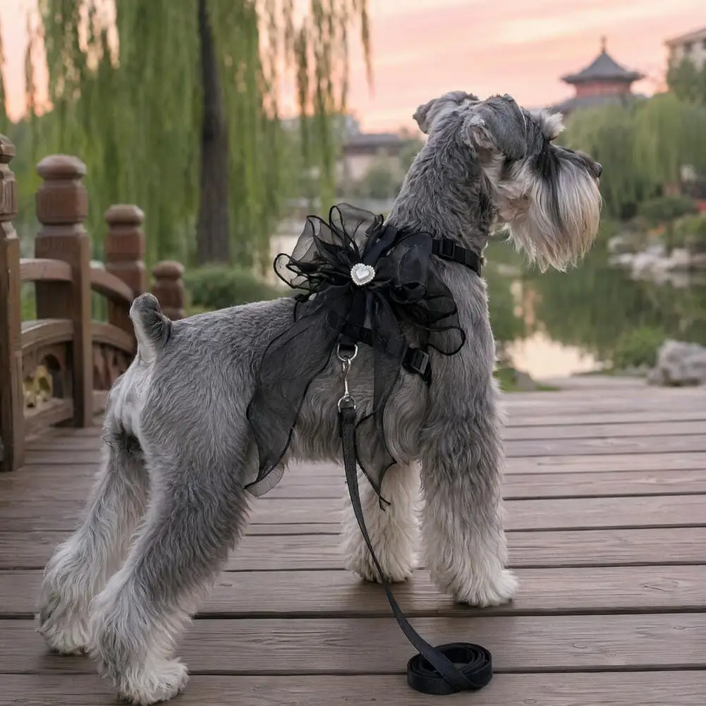 Matching Pet Harness Leash Cat Small Dog Harness Leash Set Adjustable H-style Pet Harness with Oversized Sheer Bow Lightweight