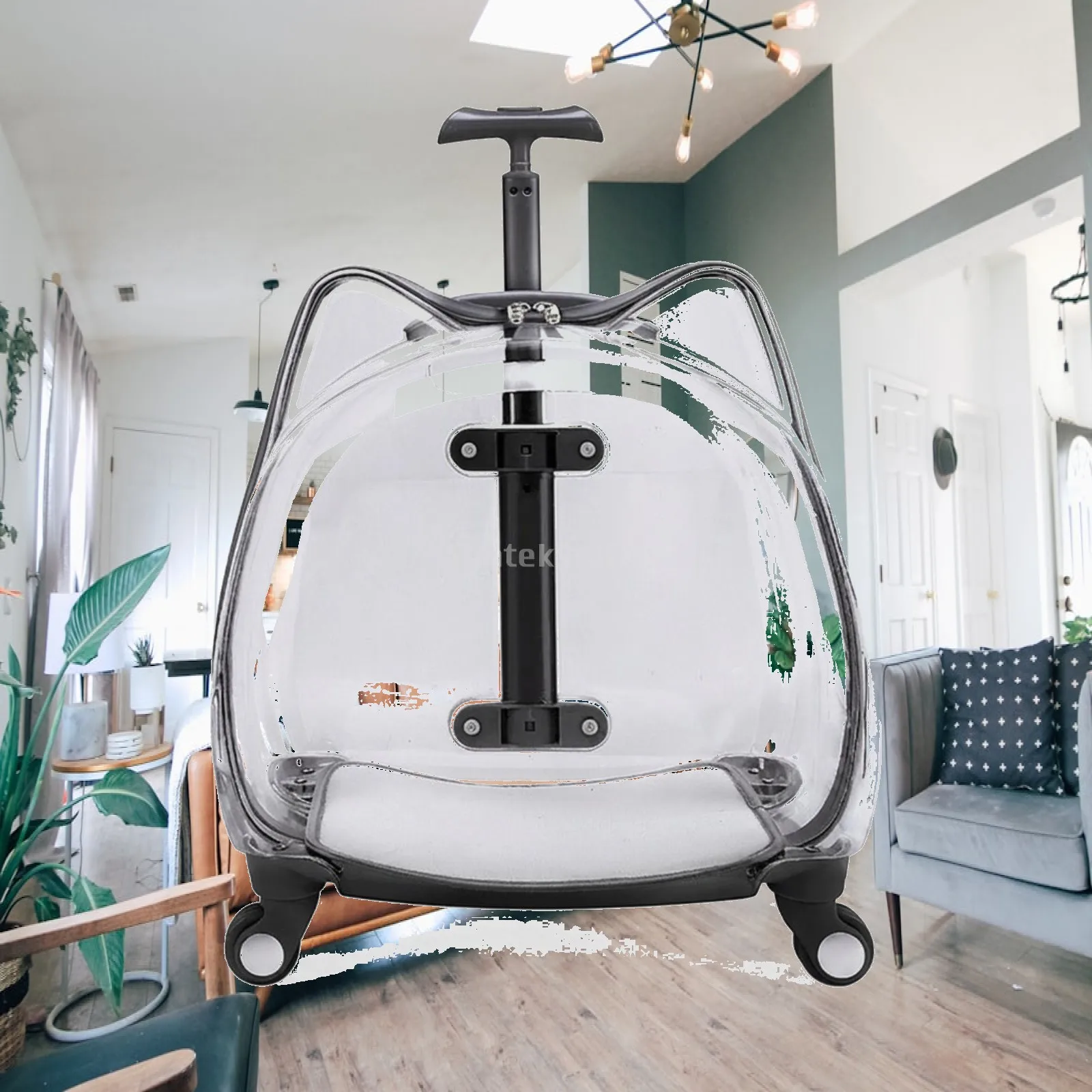 sac-de-transport-pour-animaux-de-compagnie-avec-roulettes-valise-transparente-rigide-pour-chats-petits-chiens-voyages-aeroport-visites-professionnelles