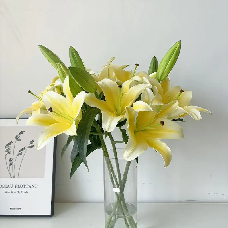 Water Lily Flowers Huang Tianba Indoor Water Flower Arrangement