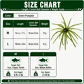 Green Pumpkin