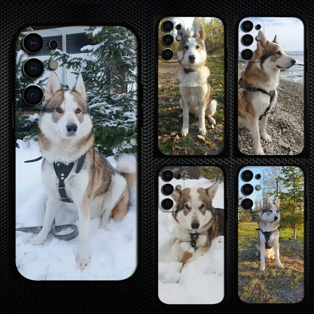 

Cute West Siberian Laika Phone Case For Samsung S25,S24,S21,S22,S23,S30,Ultra,S20,Plus,Fe,Lite,Note,10,9,5G Black Cover