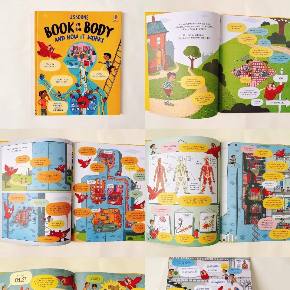 

Children's emotional expression and emotional intelligence cultivation picture book