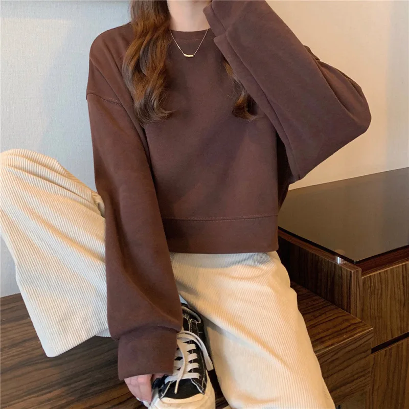 O Neck Loose Long Sleeve Hoodie for Women Beige Blue Casual Autumn Sweatshirt Top