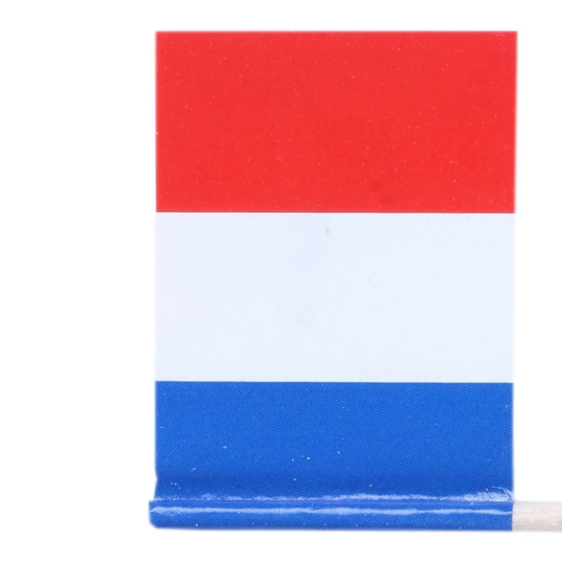 Lote de 100 peças mini palito de dente de madeira com bandeira para decoração de pastelaria de frutas de festa - França (azul, branco, vermelho)