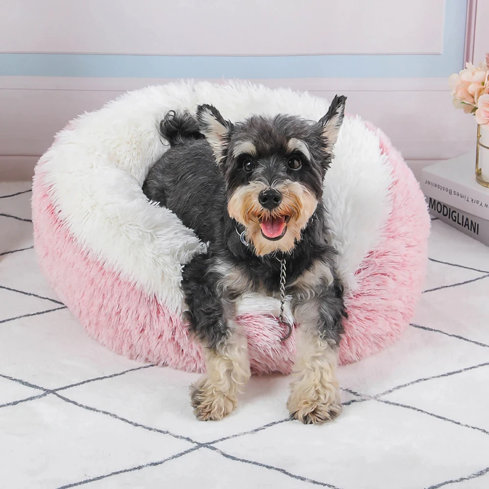 Donut Dog Bed for Medium Dog Plush Bed Pets Round Accessories Small Basket Sofa Baskets Pet Big Cushion Supplies Puppy Mat Cats