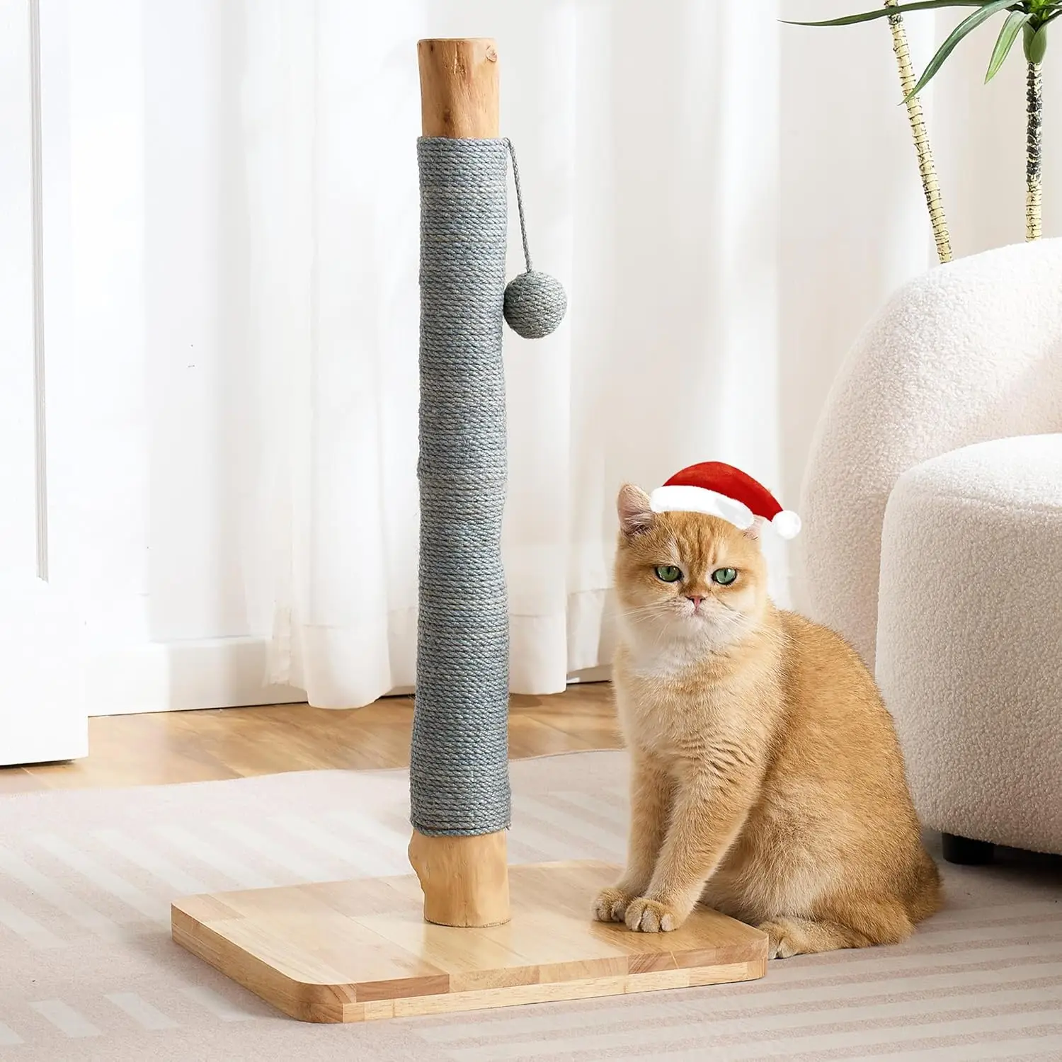 

29" Tall Cat Scratching Post for Indoor Cats Adults, Extra-Stable & Natural Solid Wood Scratching Post Sisal Scratcher w