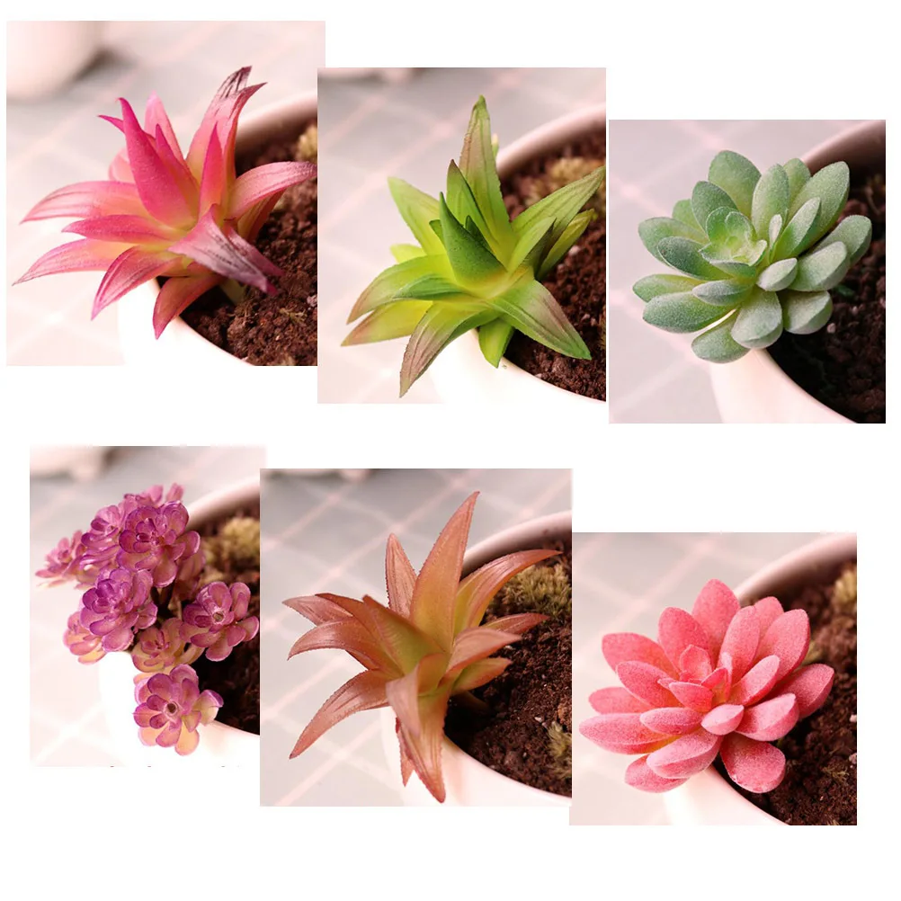 

6Pcs Fake Succulent Plant Plastic Simulated Succulent Ornament for Home Office Desktop Garden Decoration Long Lasting