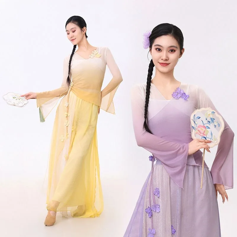 Classical Dance Costume Fairy Floral Gradual Mesh Suit Daily Practice Pants Loose Flowing Gauze Chinese Dance Performance Stage