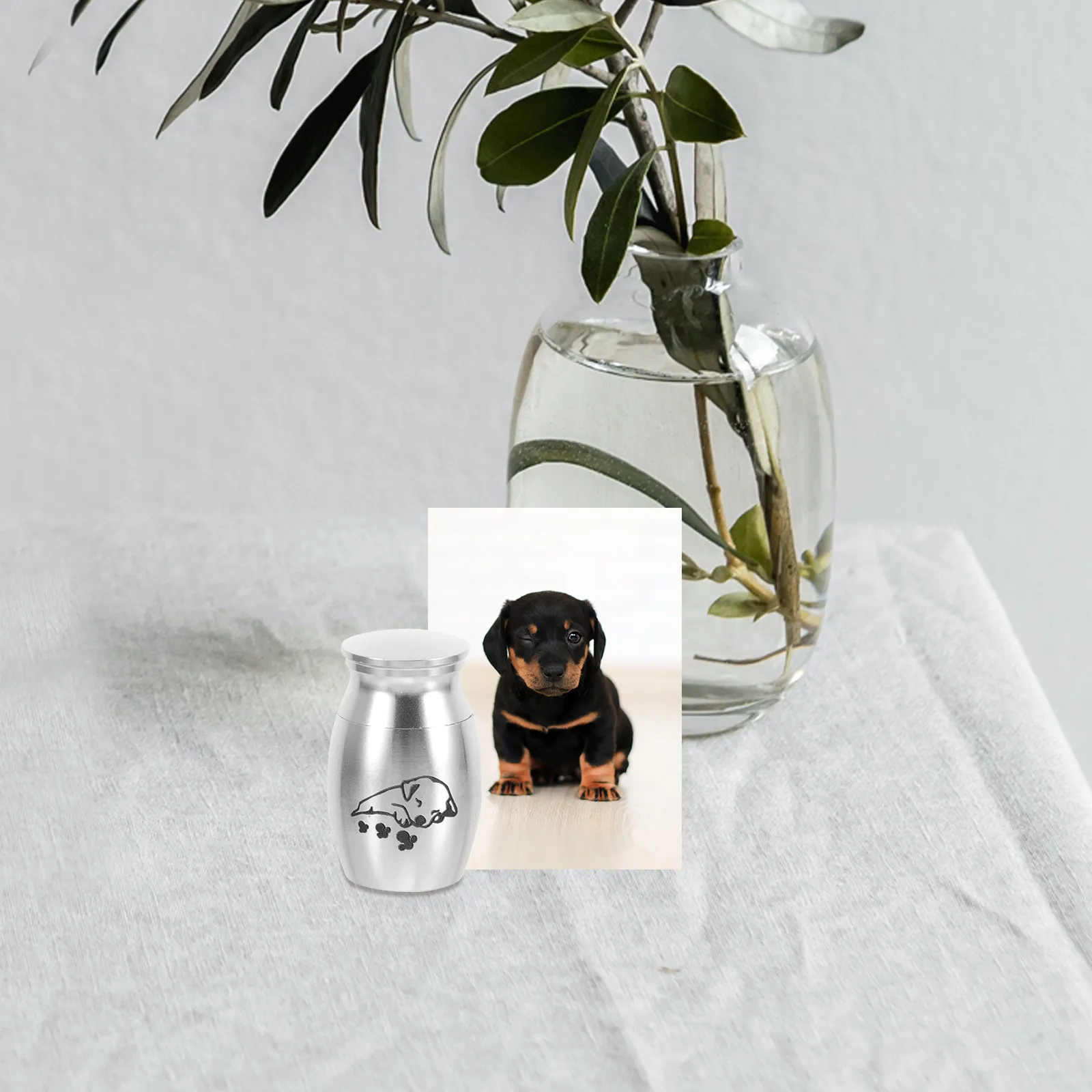 Small Metal Pet Urn Memorial Cremation Urn for Dog Cat Ashes Keepsake Ashes Storage Urns for Dogs Keepsake Urns