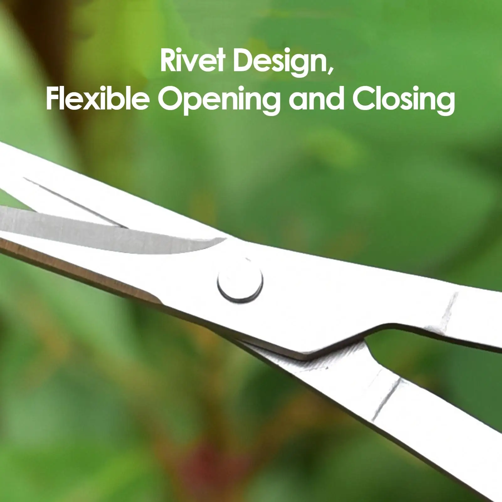 

Grape Scissors Tweezers Gardening Tool Scissors 2-in-1 Branch Bonsai Scissors With Tweezers Grape Scissors Picking Tool