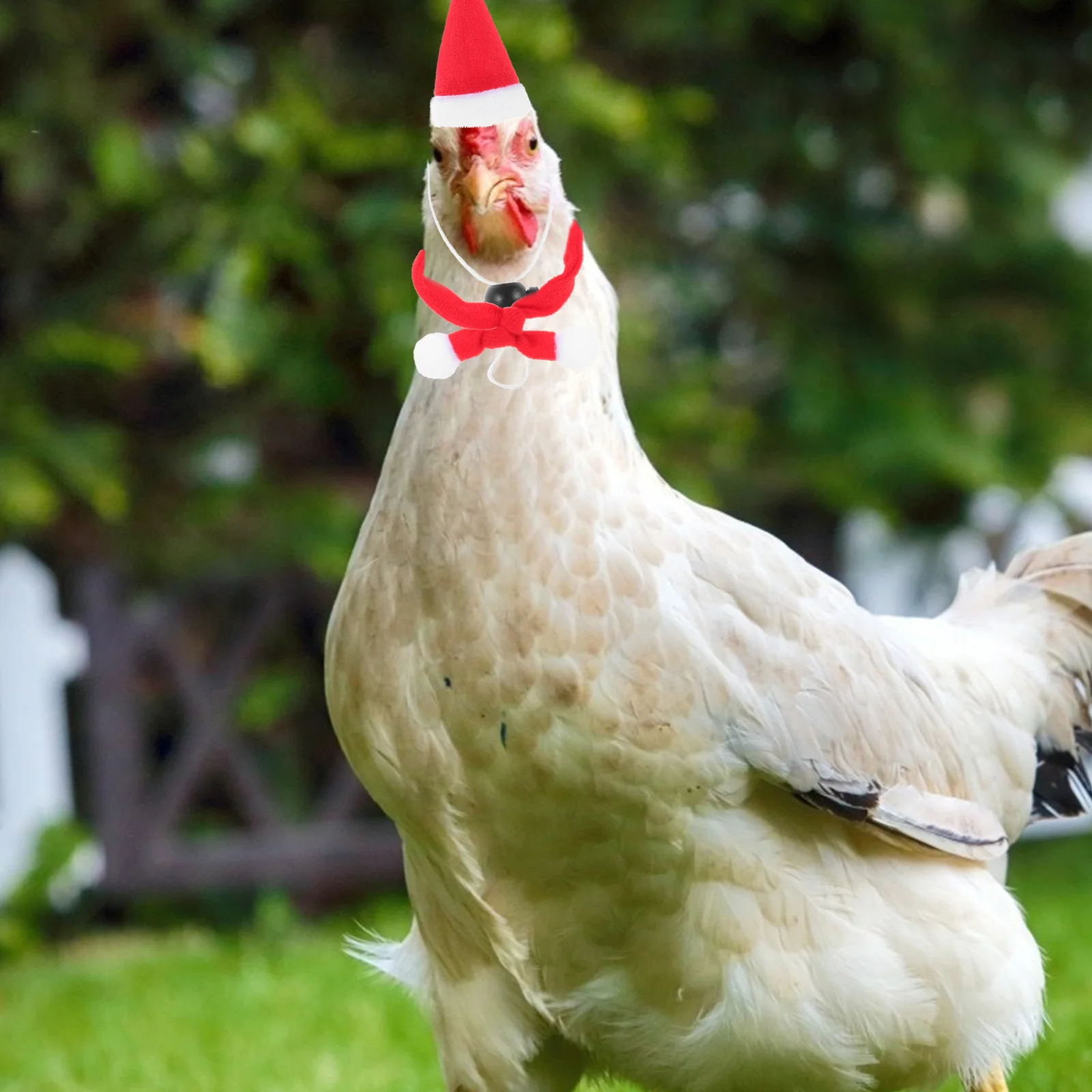 

6Pcs Christmas Pet Hat and Scarf Set Xmas Dog Cat Costume Supplies Lightweight Party Decoration Xmas Pet Hat and Scarf