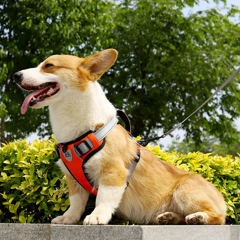 Arnés chaleco con correa para perros medianos y grandes