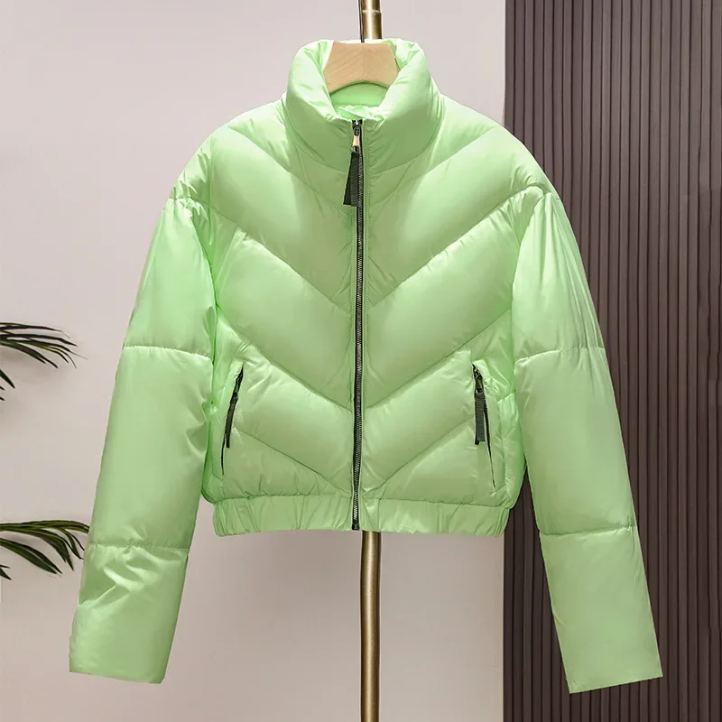 Winter Jacket 2024 Korean Women Puffer Parkas Thick Warm Cotton Padded Coat Female Loose Outwear Clothes Short Jacket Overcoat