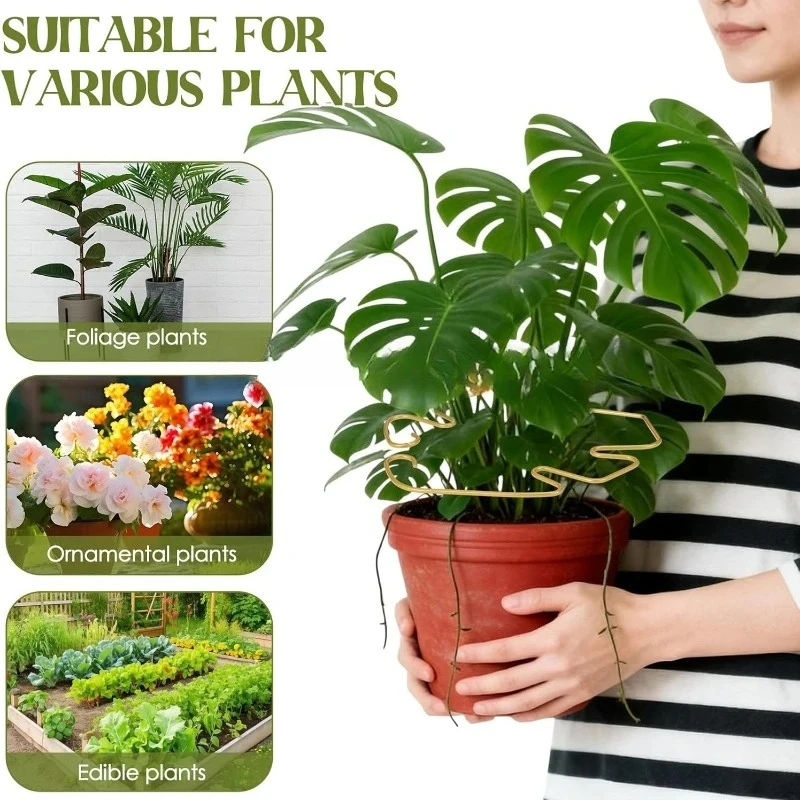 Anti-toppling Plant Stem Support No Nail Needed Multi-purpose Flower Climbing Stem Holder Vine Branch Monstera Stabilizer